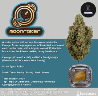 SAUCE - Moonraker (S) at JDM Cannabis