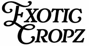 EXOTIC CROPZ - 1G - JOINT
