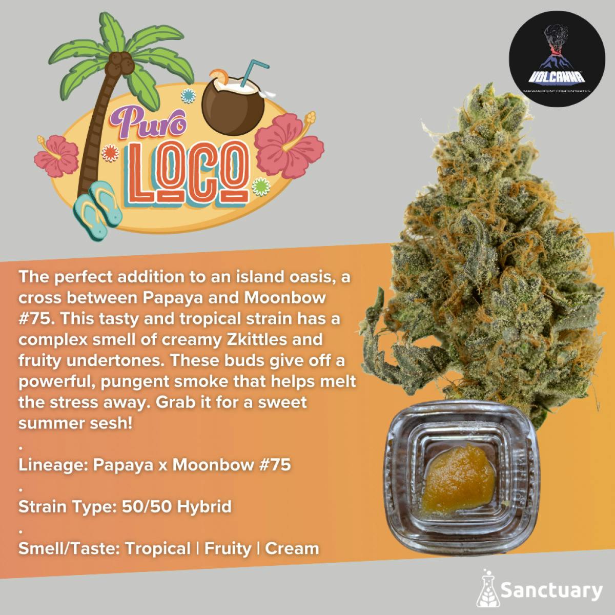 Puro Loco Sauce | 1g - Volcanna at Collective Premium Cannabis Billerica
