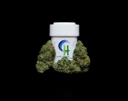 Pookie Flower | 3.5g - Coastal Healing