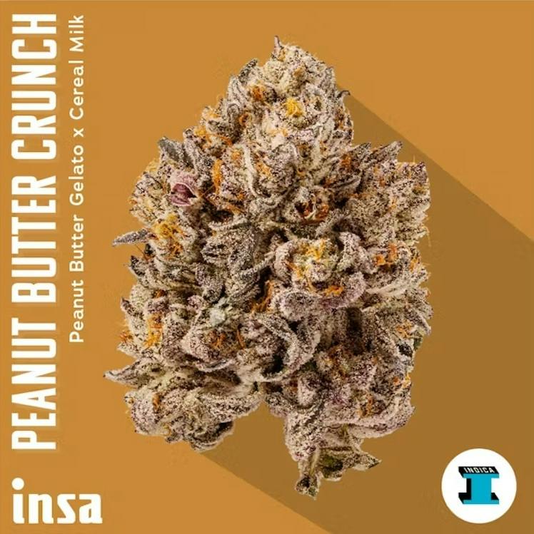 Peanut Butter Junky Flower | 3.5g - Insa