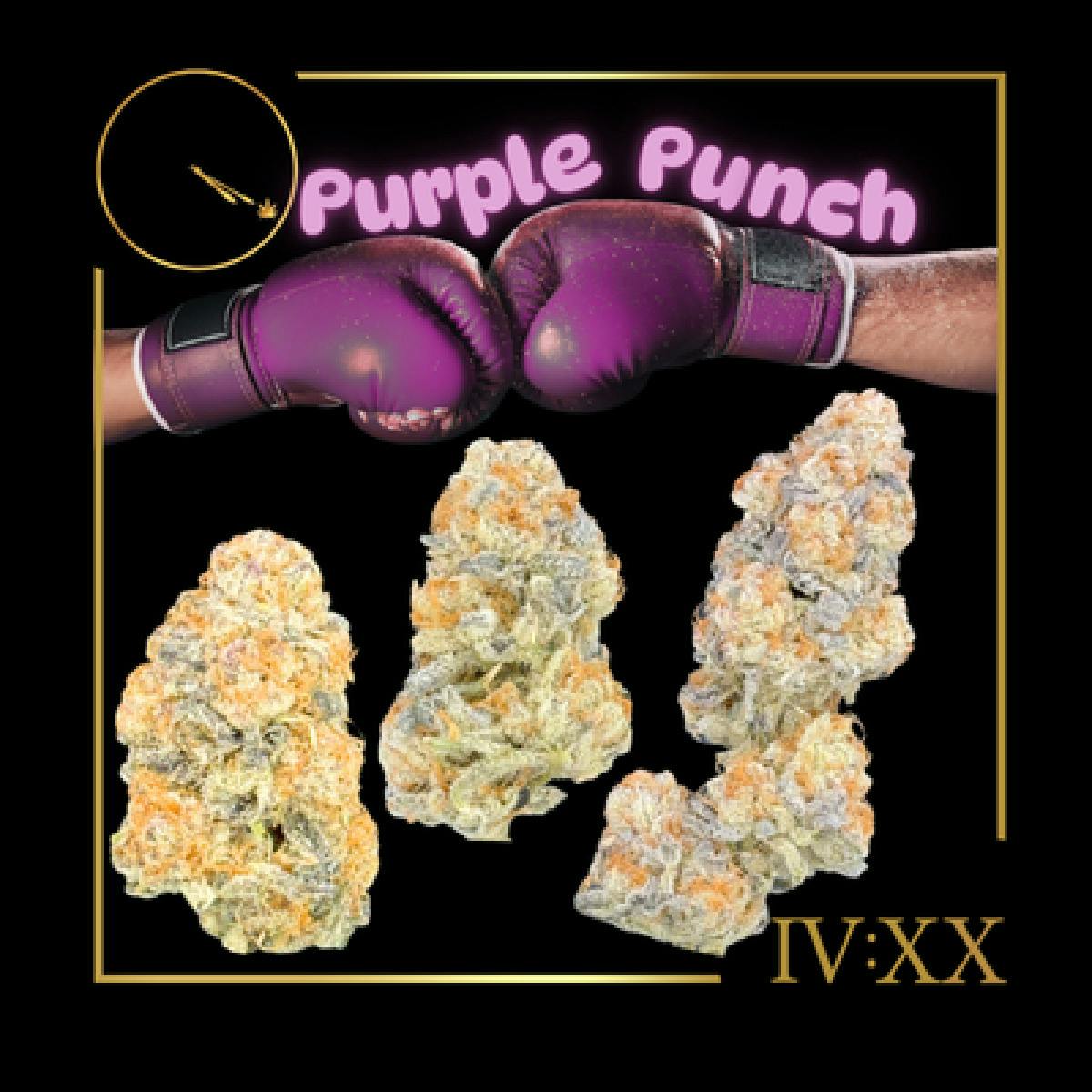 Purple Punch Flower | 3.5g - Zipz