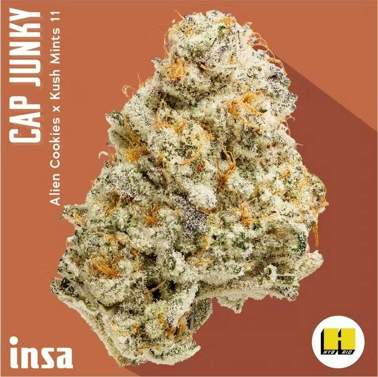 Cap Junky Flower | 3.5g - Insa