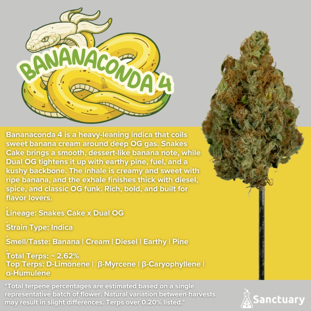 Bananaconda #4 Flower | 3.5g - Sanctuary
