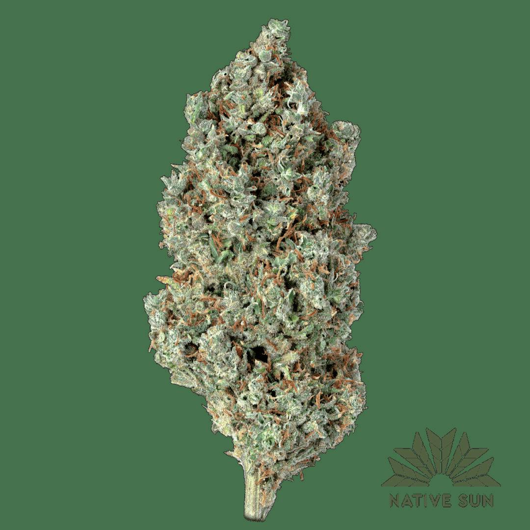 Mescaline Flower | 3.5g - Native Sun