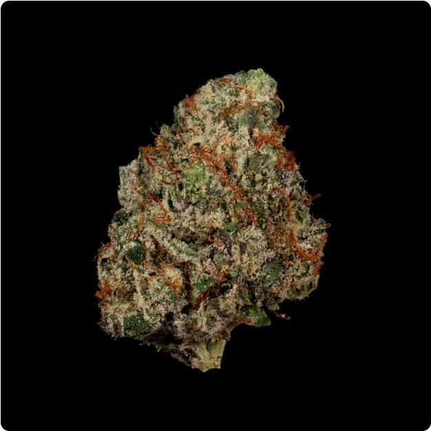Vienna Flower | 3.5g - Cookies