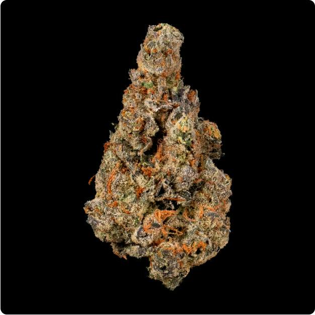 Cheetah Piss Flower | 3.5g - Cookies