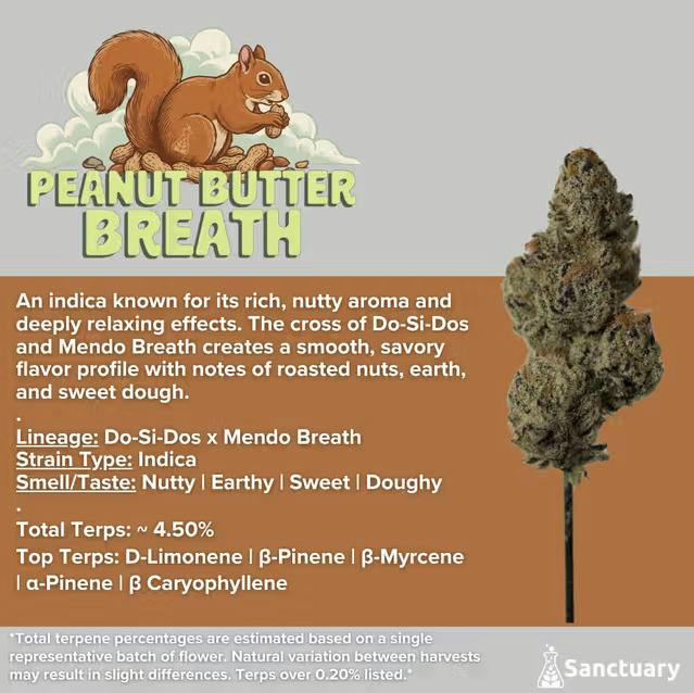Peanut Butter Breath Flower | 28g - Sanctuary