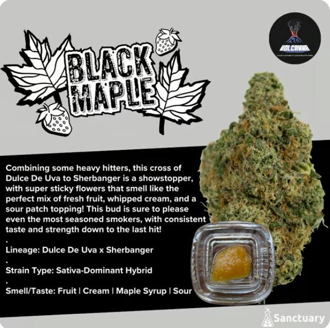 Black Maple Sauce | 1g - Volcanna at Collective Premium Cannabis Billerica