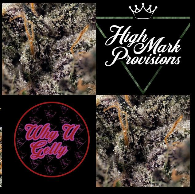 Why U Gelly Flower | 3.5g - Highmark Provisions