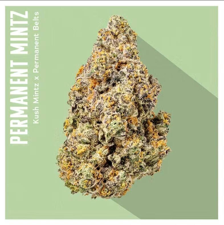 Permanent Mintz Flower | 3.5g - Insa