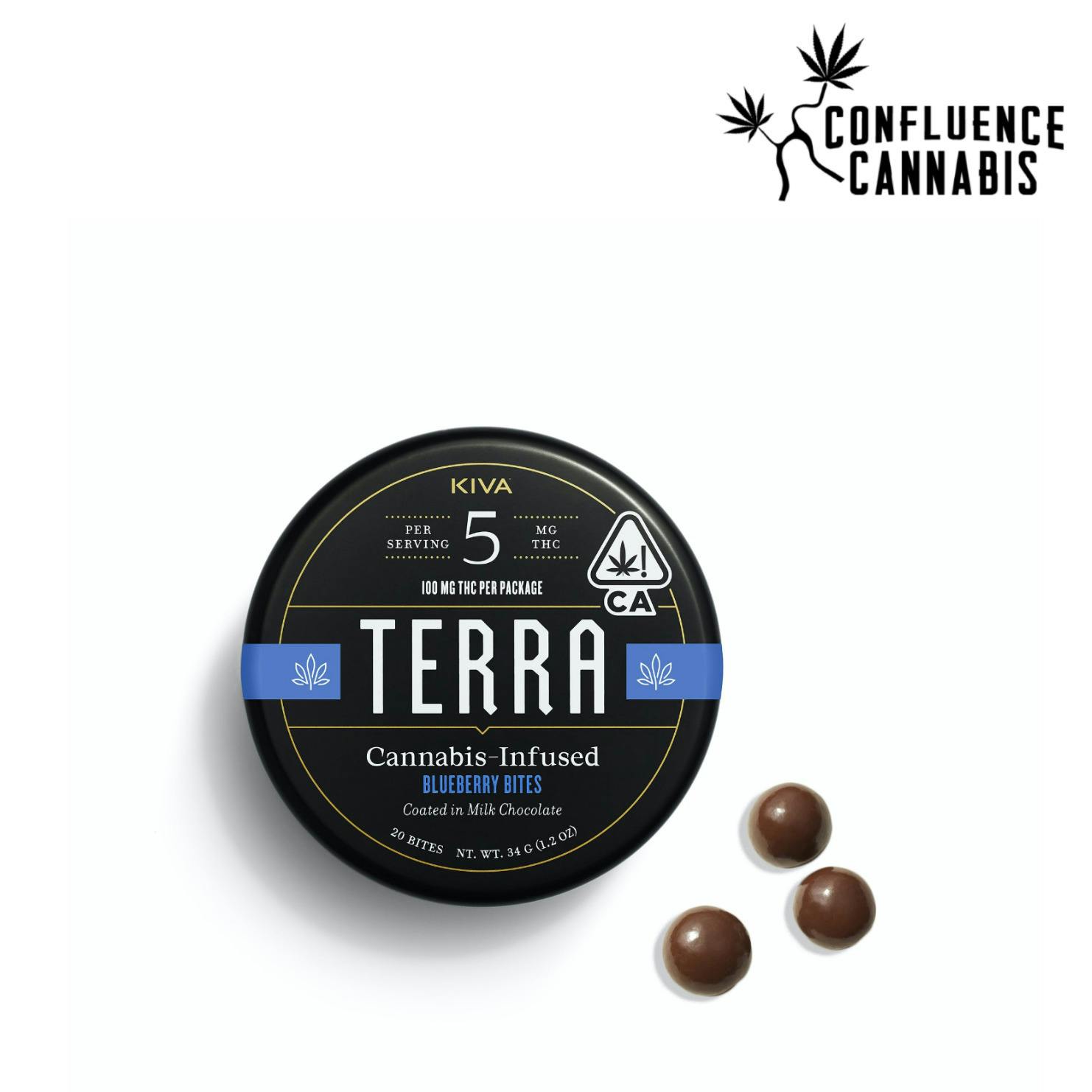 Chocolate Blueberries Terra Bites
