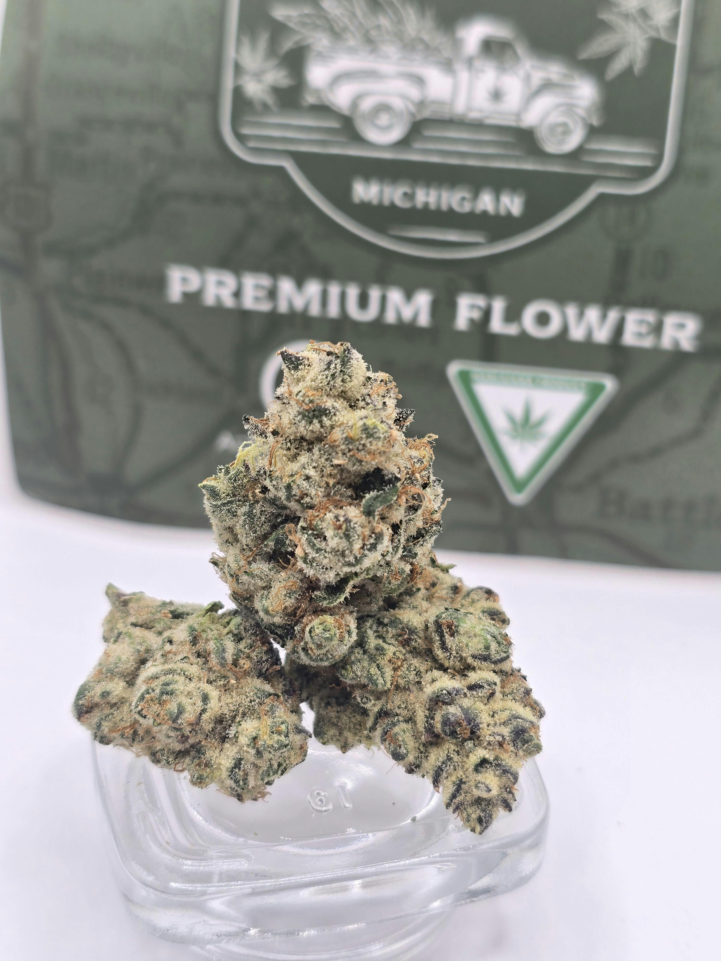 Mitten Distro X | Funky Kitty 14g Pack