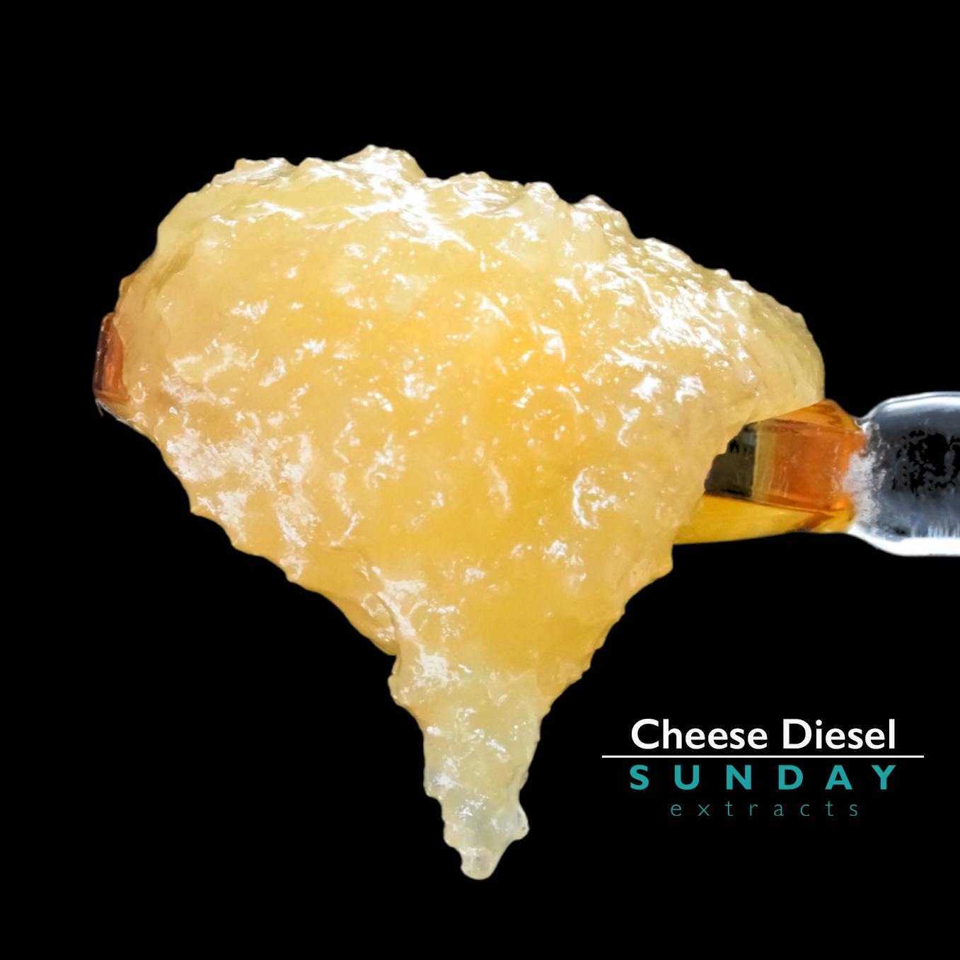 Sunday Cheese Diesel