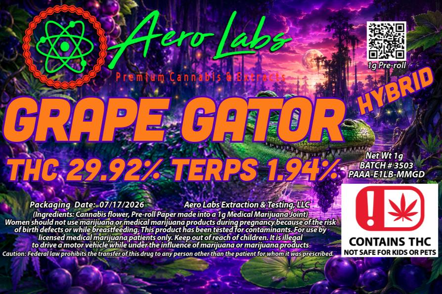 AERO LABS 1g Pr - Grape Gator