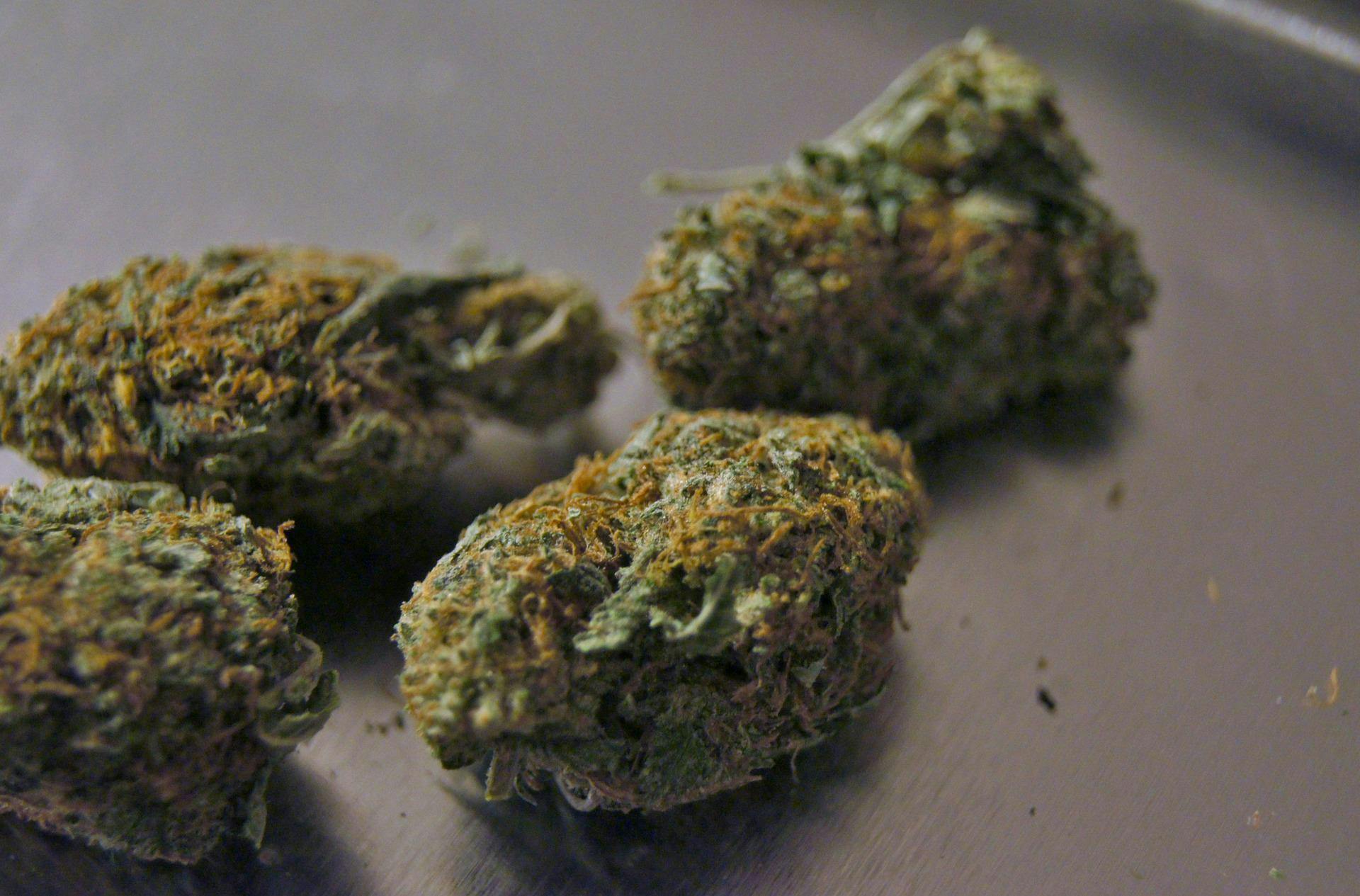 Purple Punch
