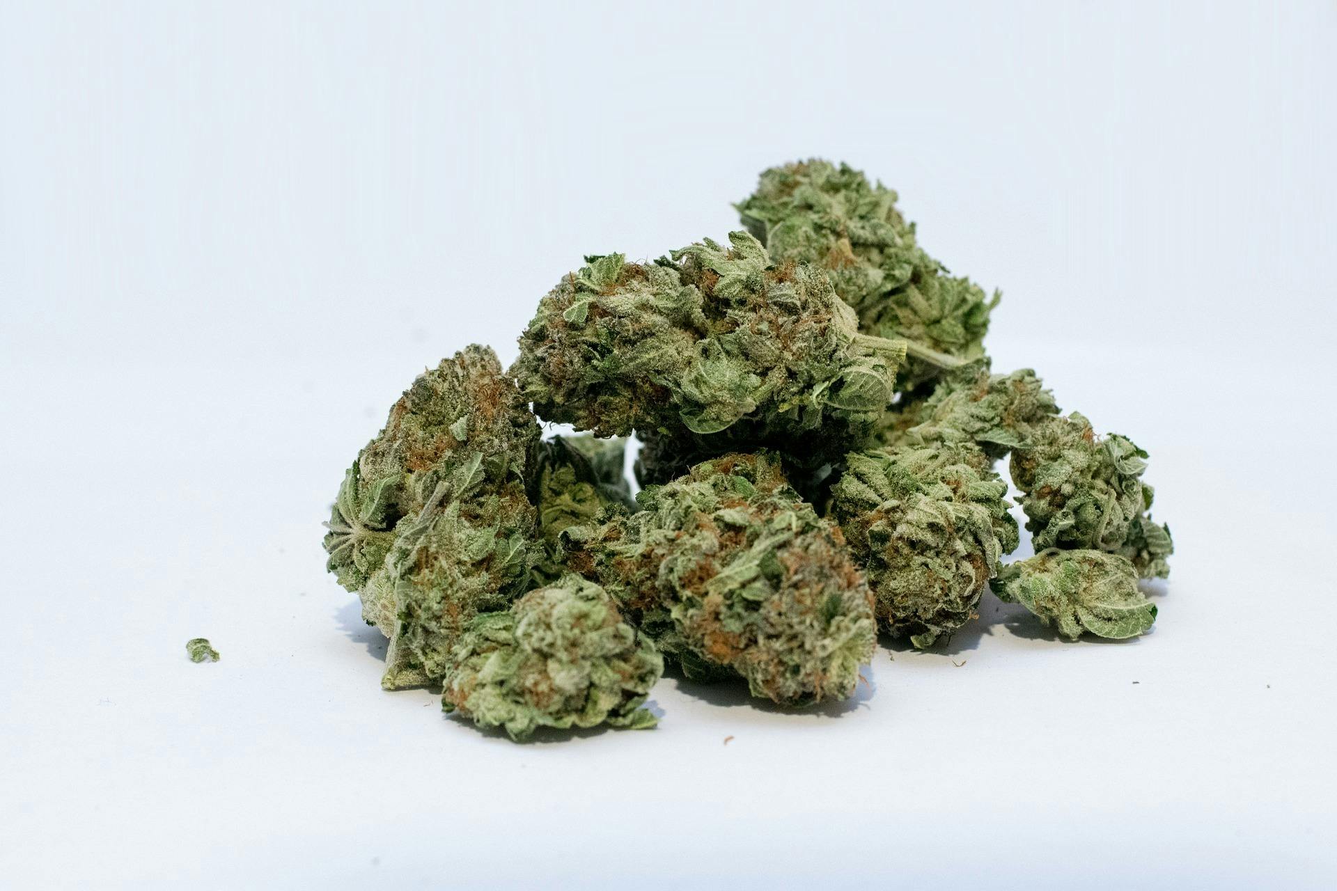 Gorilla Cookies Bulk Flower