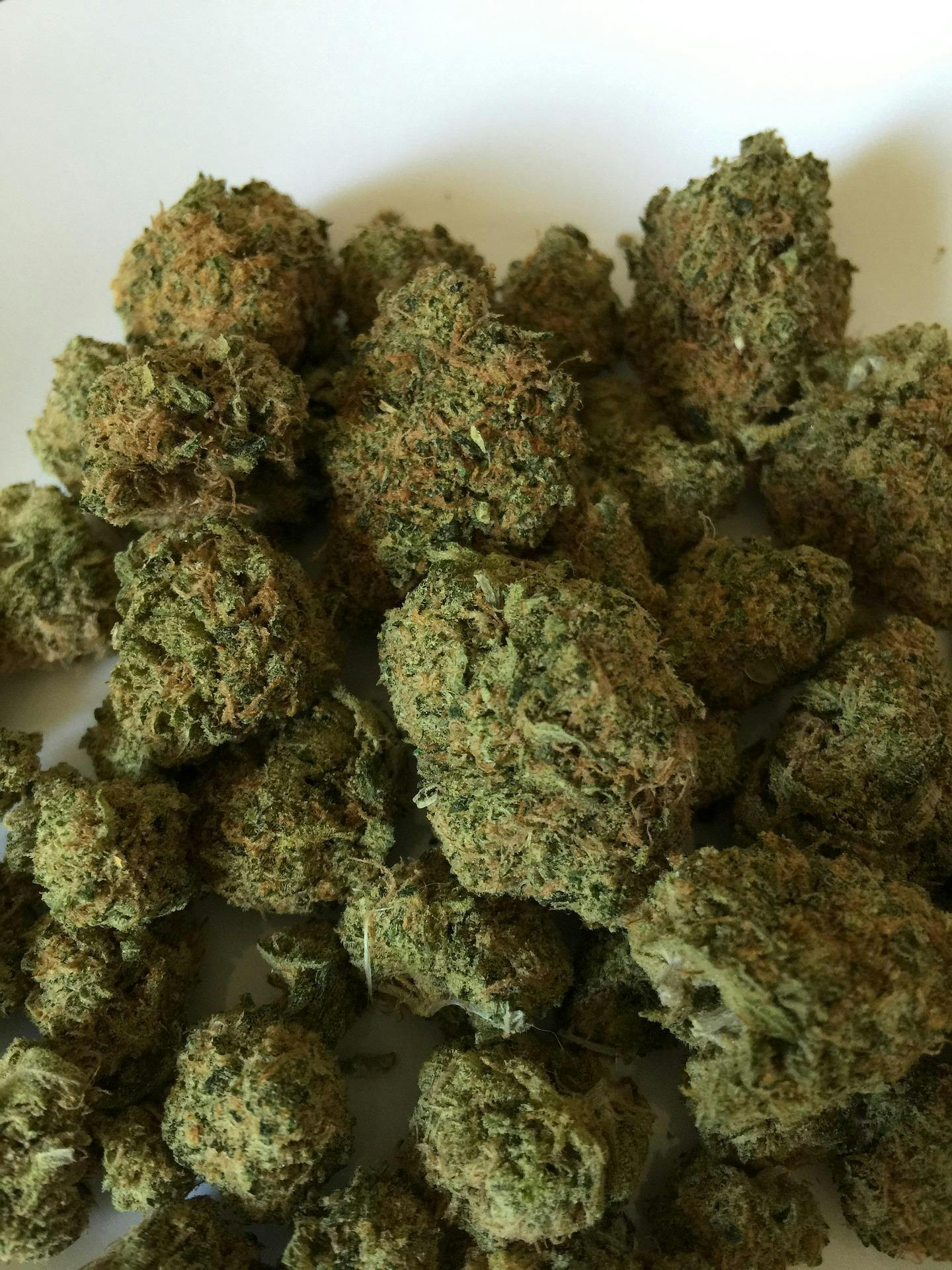 Skywalker OG Bulk Flower