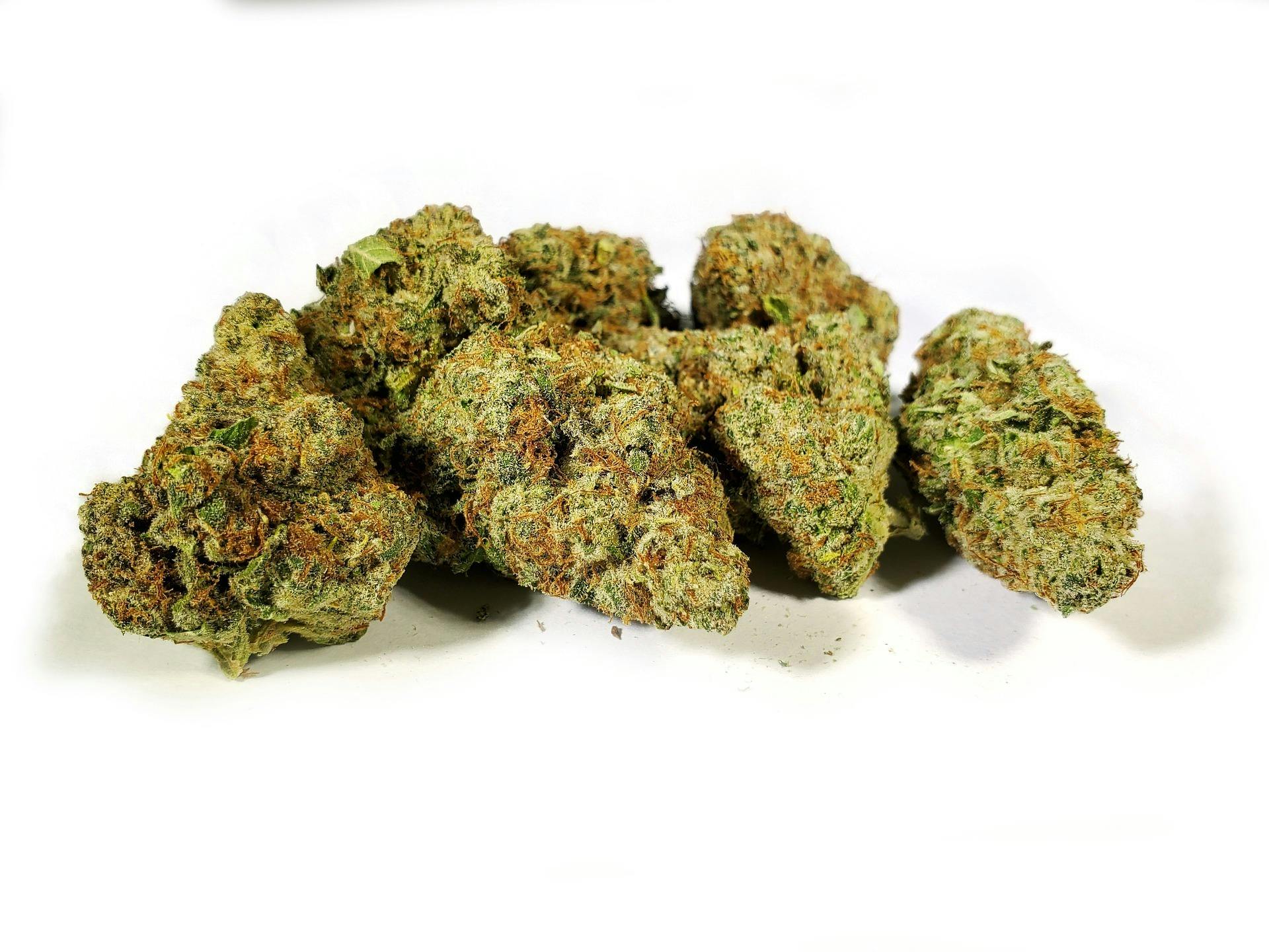 Gsc