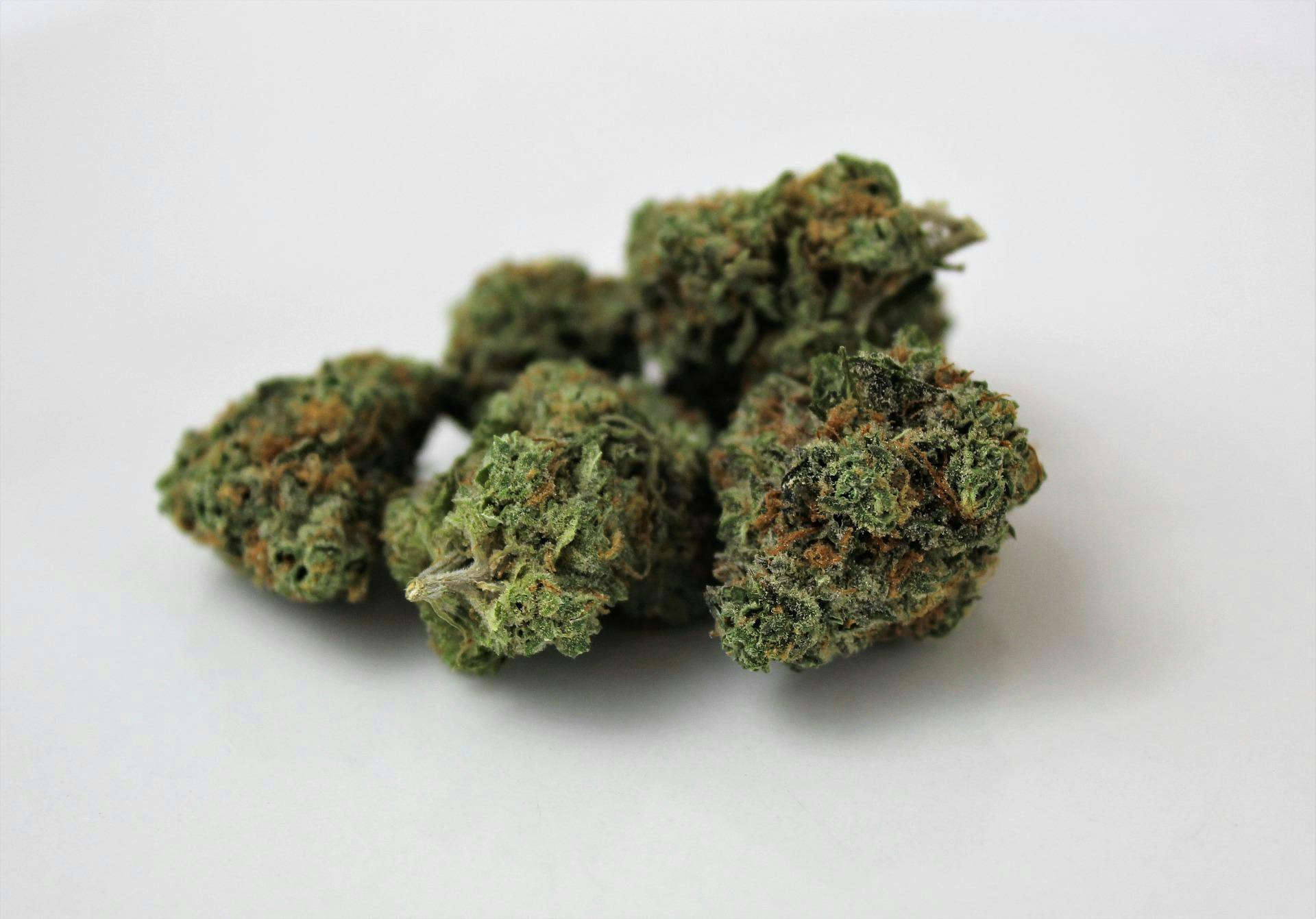 Runtz of Eden Bulk Flower