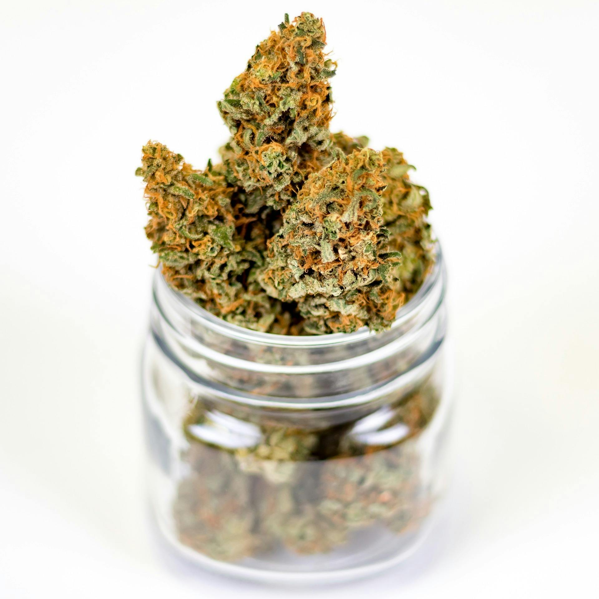 Maui Wowie Bulk Flower