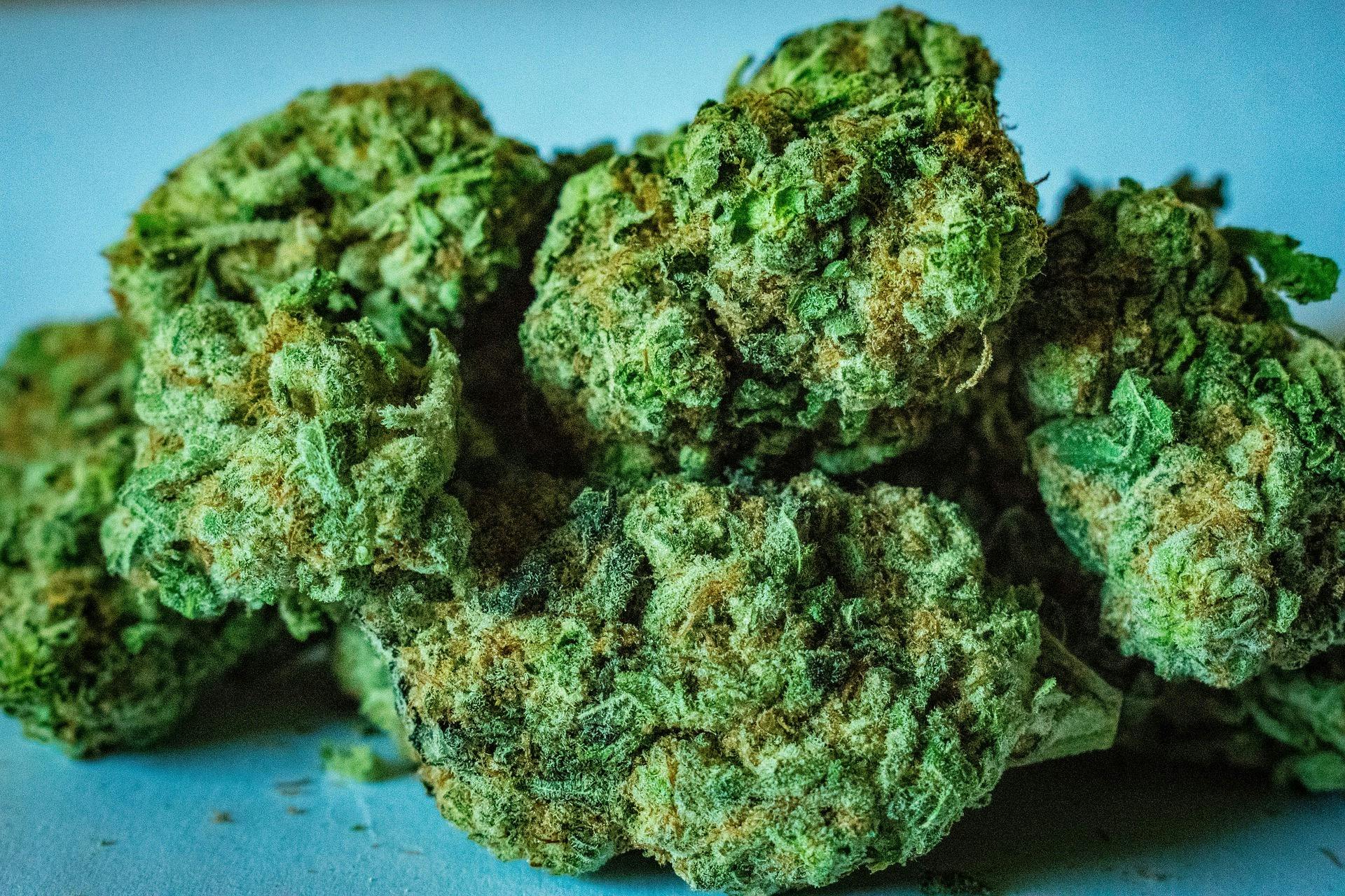 Blue Dream