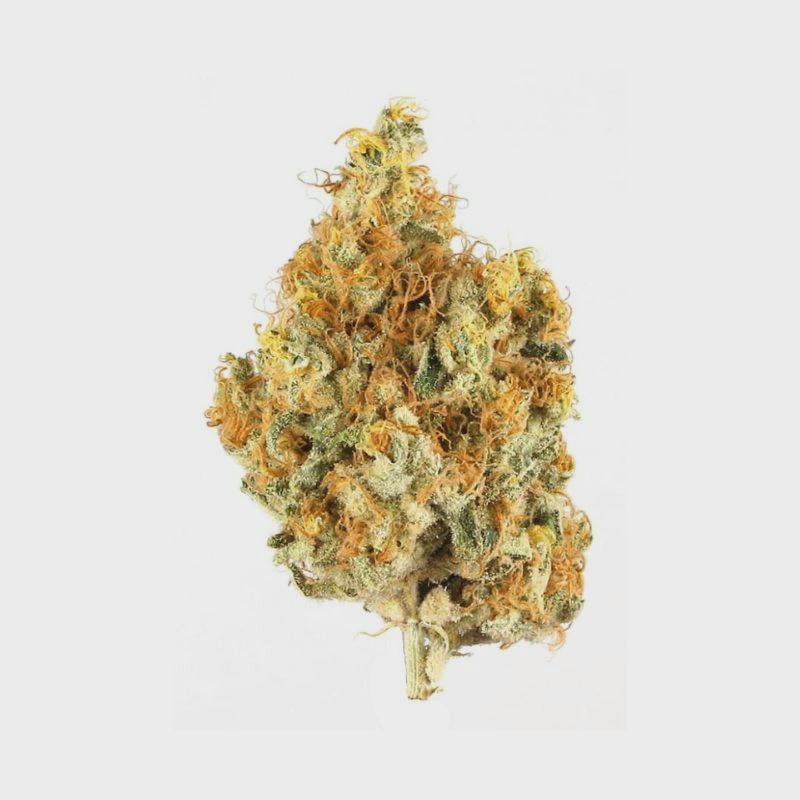 Jungle Grapes - Flower