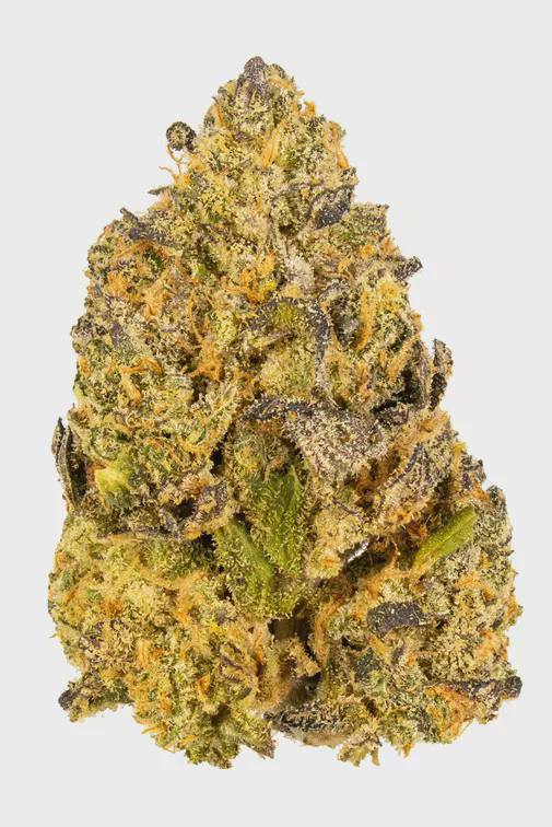 Diesel Burger - Flower