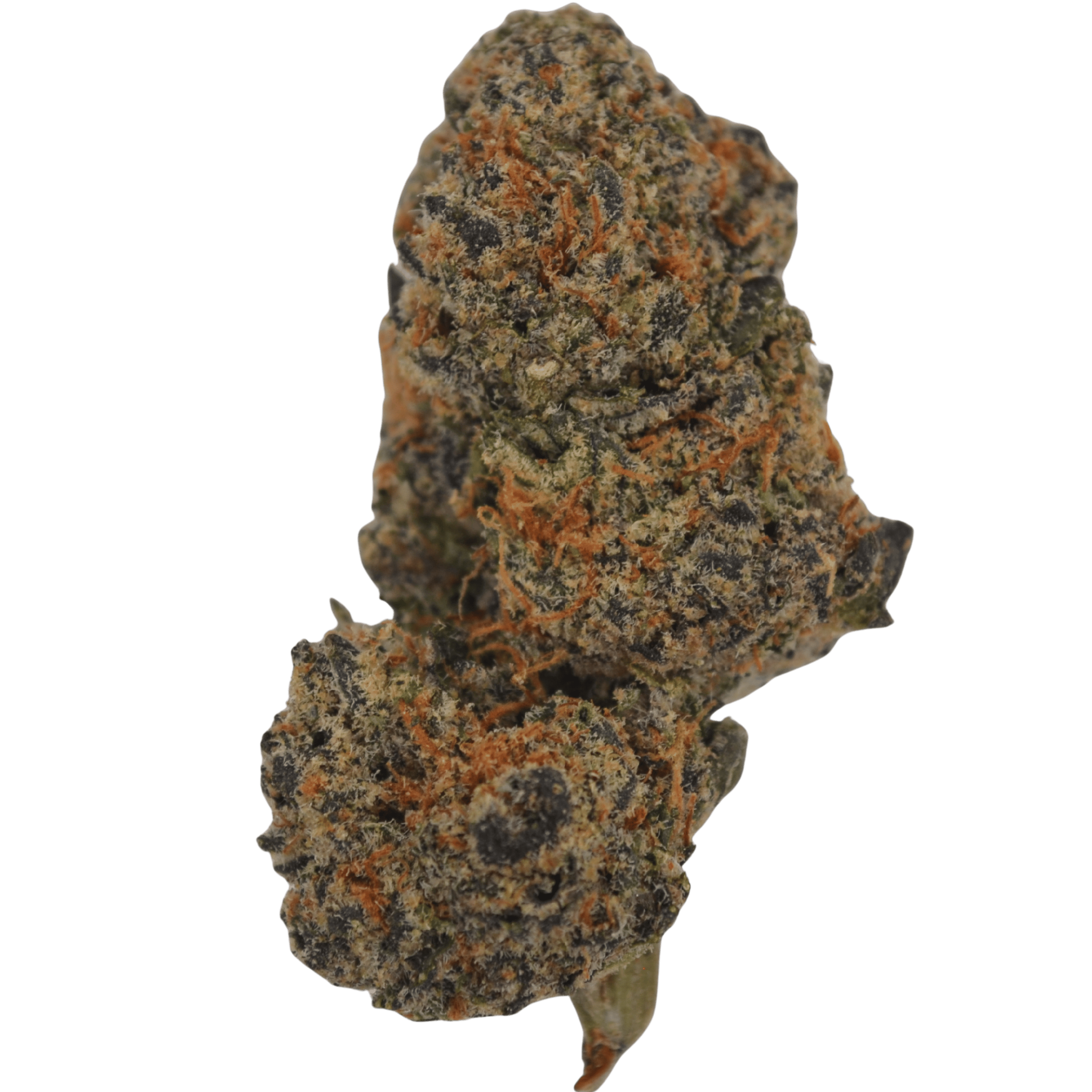 Orange Sapphire