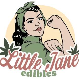 Little Jane Bar - - Dark Chocolate Raspberry