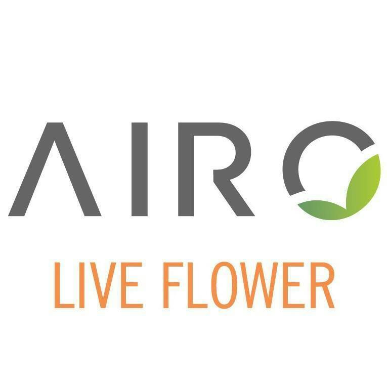 Lemon Cheesecake | Live Resin Series AIRO Cartridge