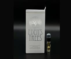 Lemon Shakeup | Cartridge