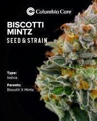 Biscotti Mintz