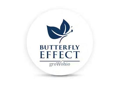 Butterfly Effect | Night Time THC:CBN 1:1 Honey