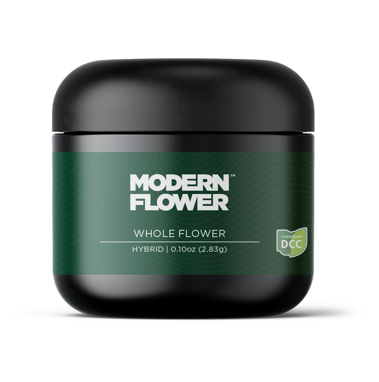 Modern Flower | Melonade