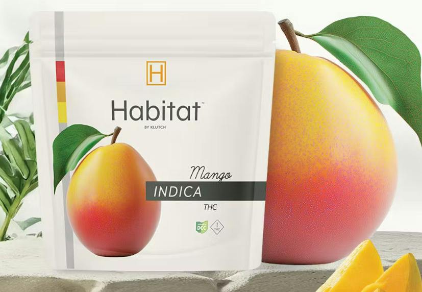 Mango | Indica 5mg Gummy | 20ct