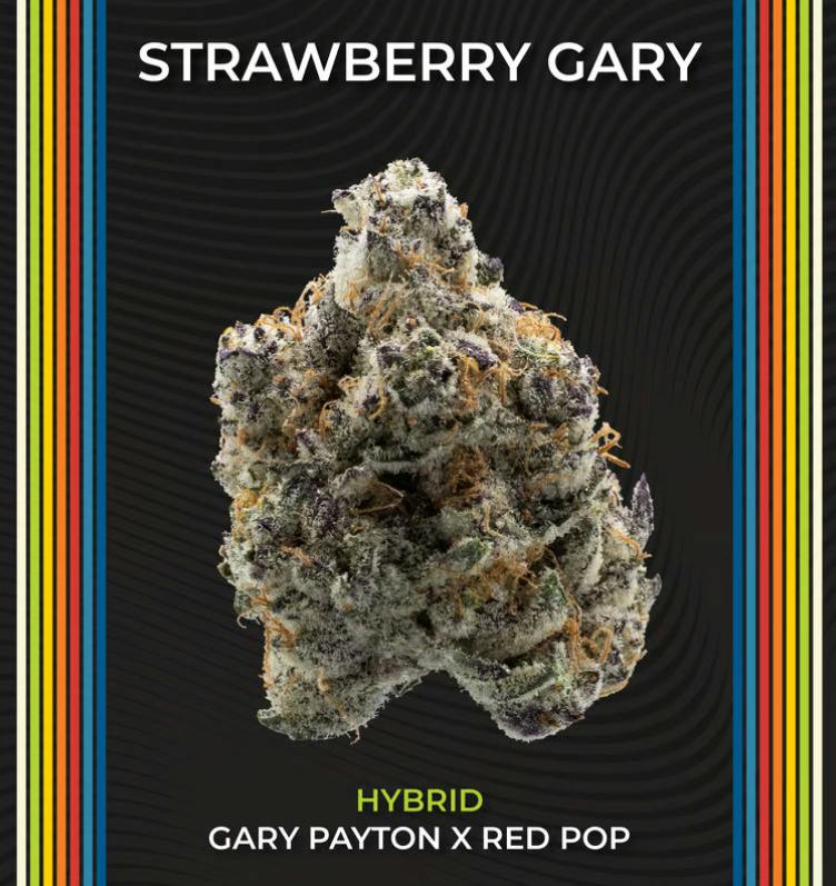 Certified | Strawberry Gary