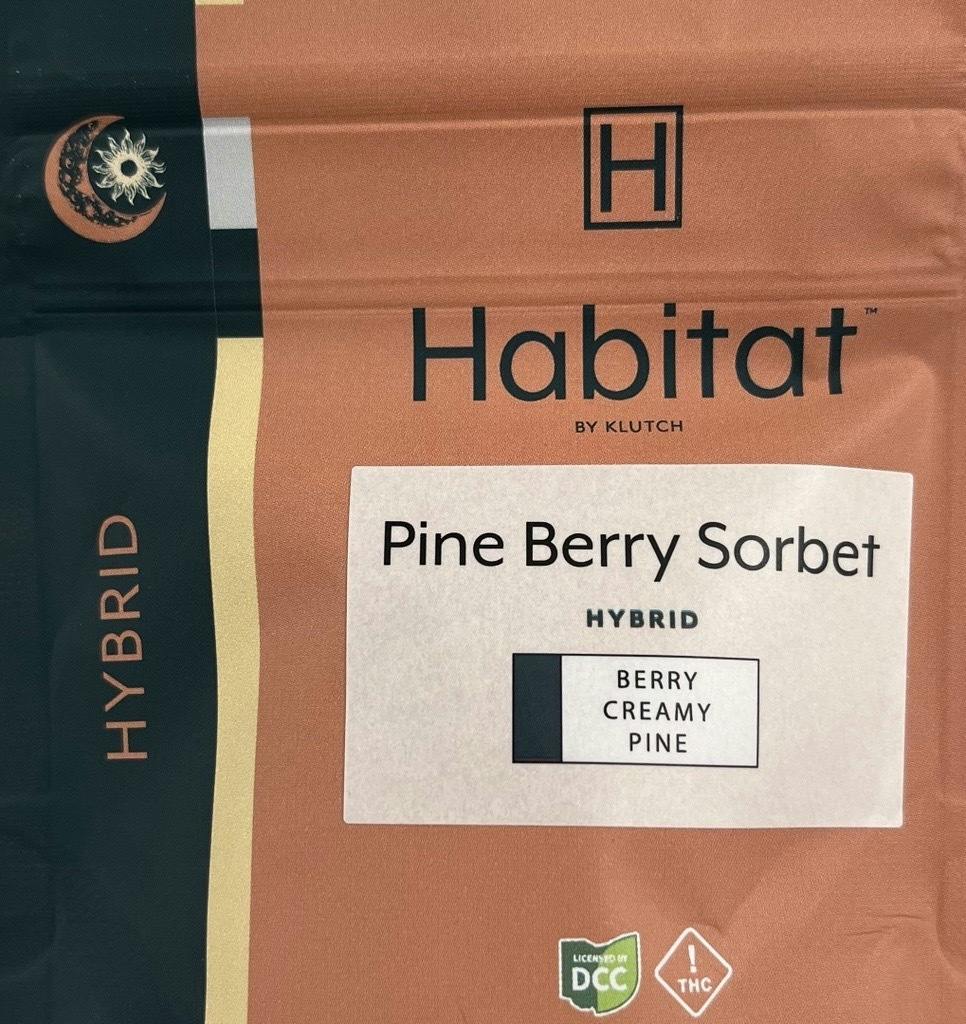 Pine Berry Sorbet