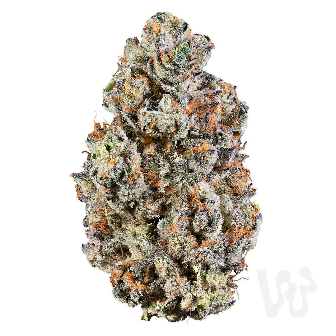Lemon Cherry Sherbert