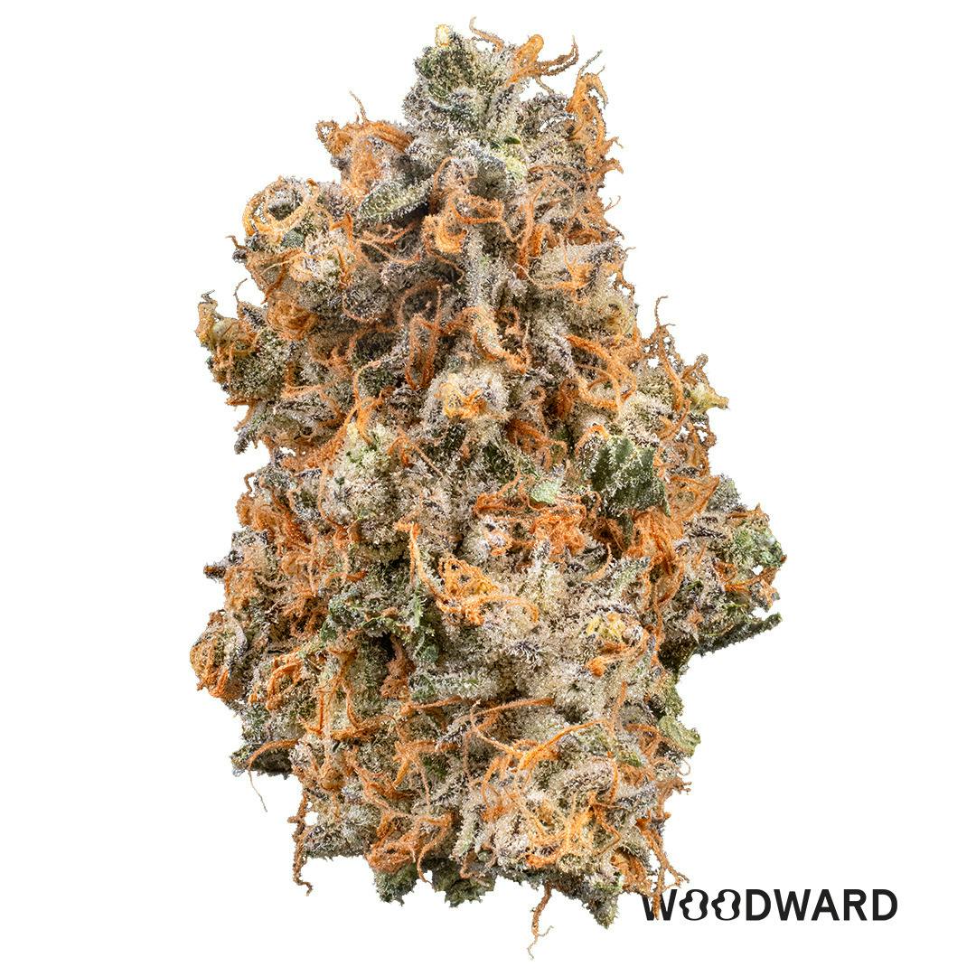 GrapeHead l