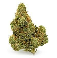 POLARIS - HEAD CHEESE