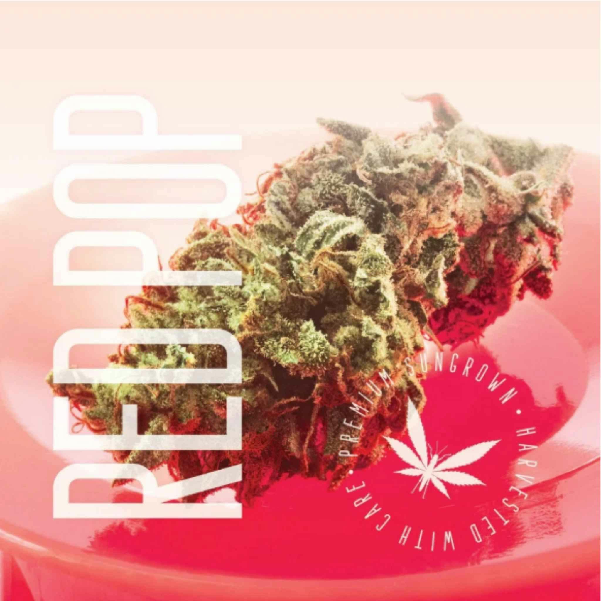 Grasshopper Farms Red Pop