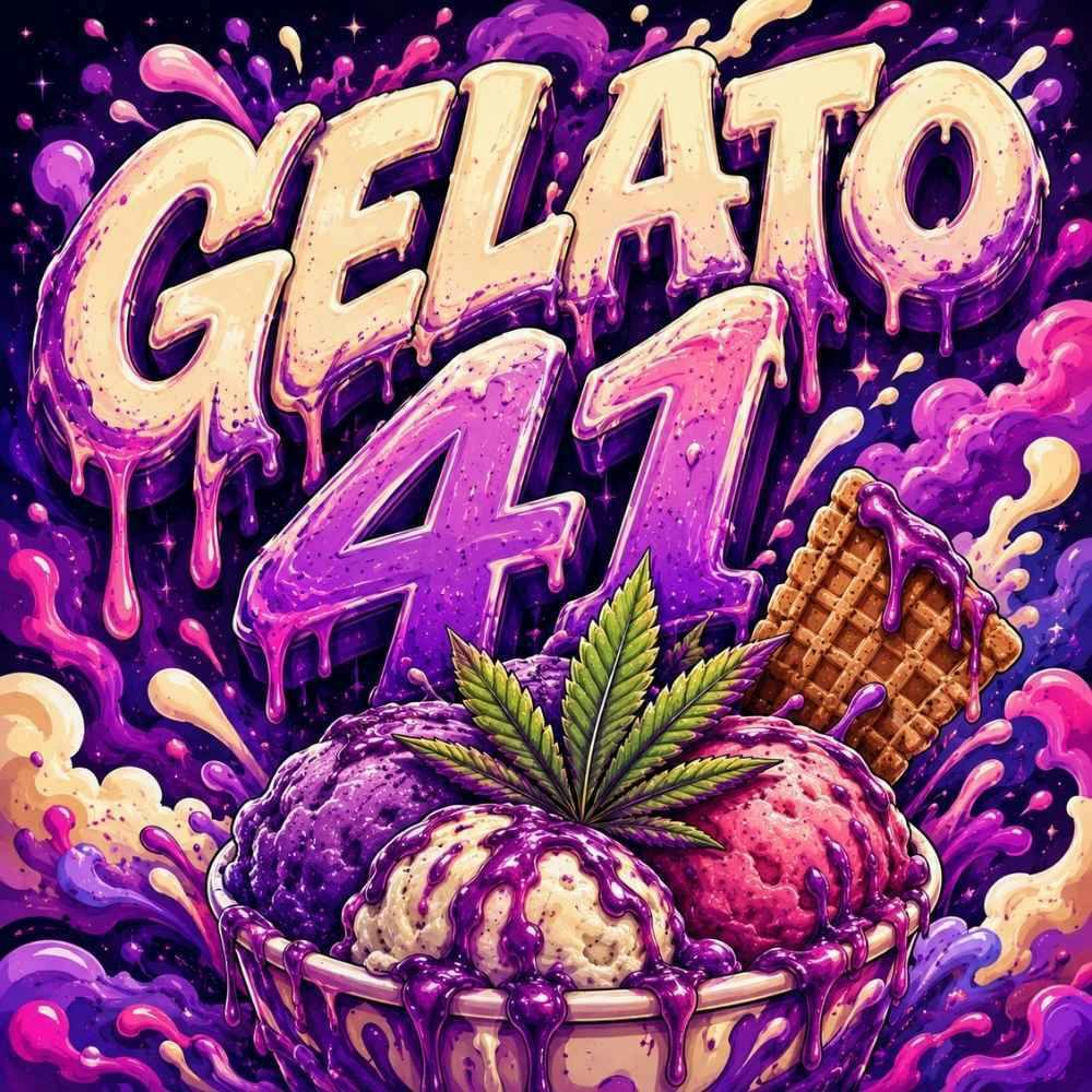 Gelato 41