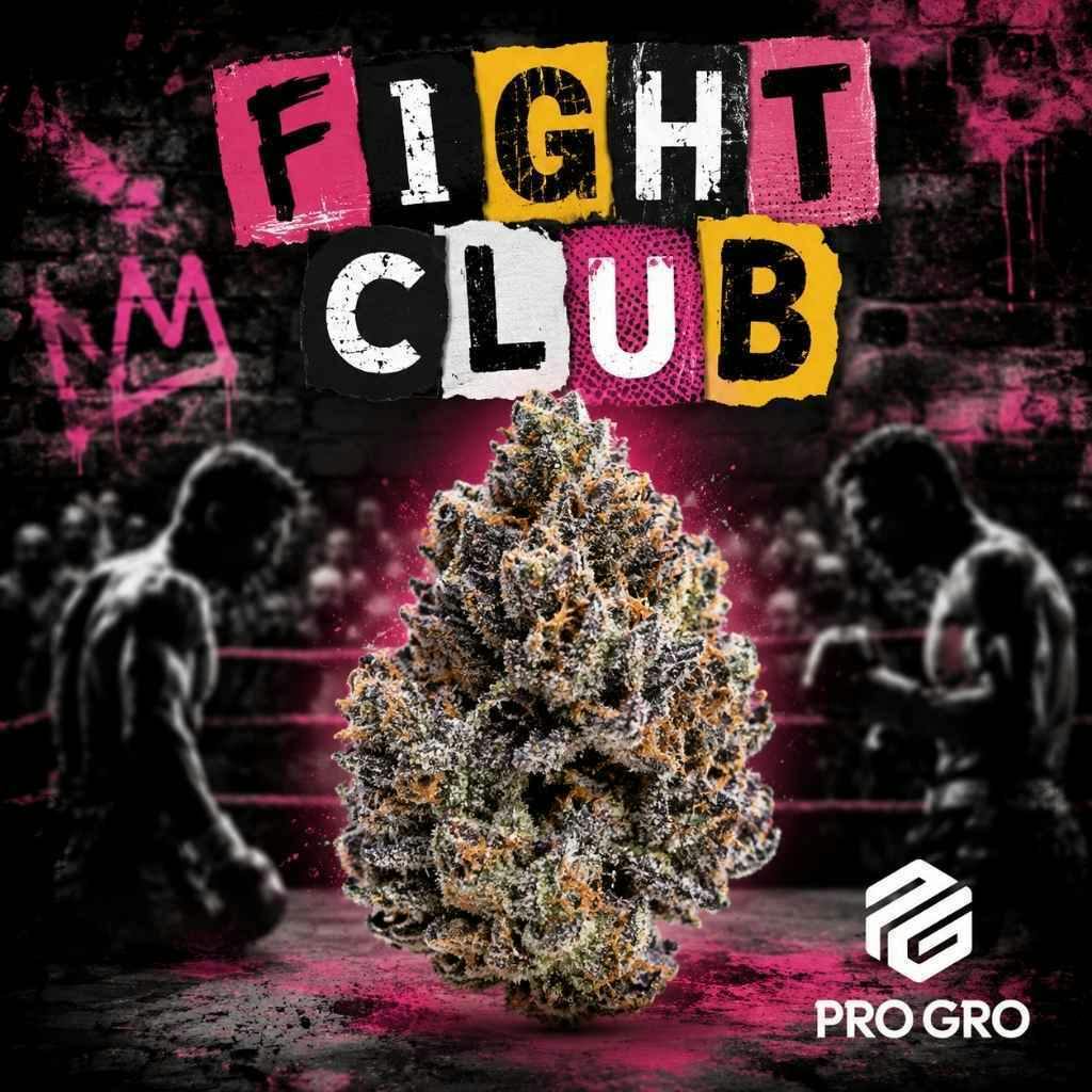 Pro Gro Fight Club