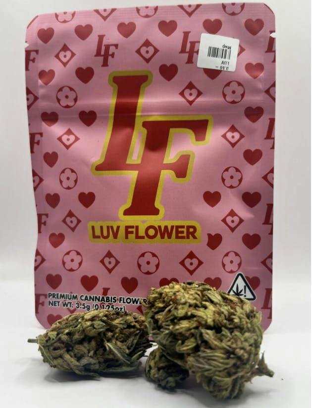 Lcg x Afghan