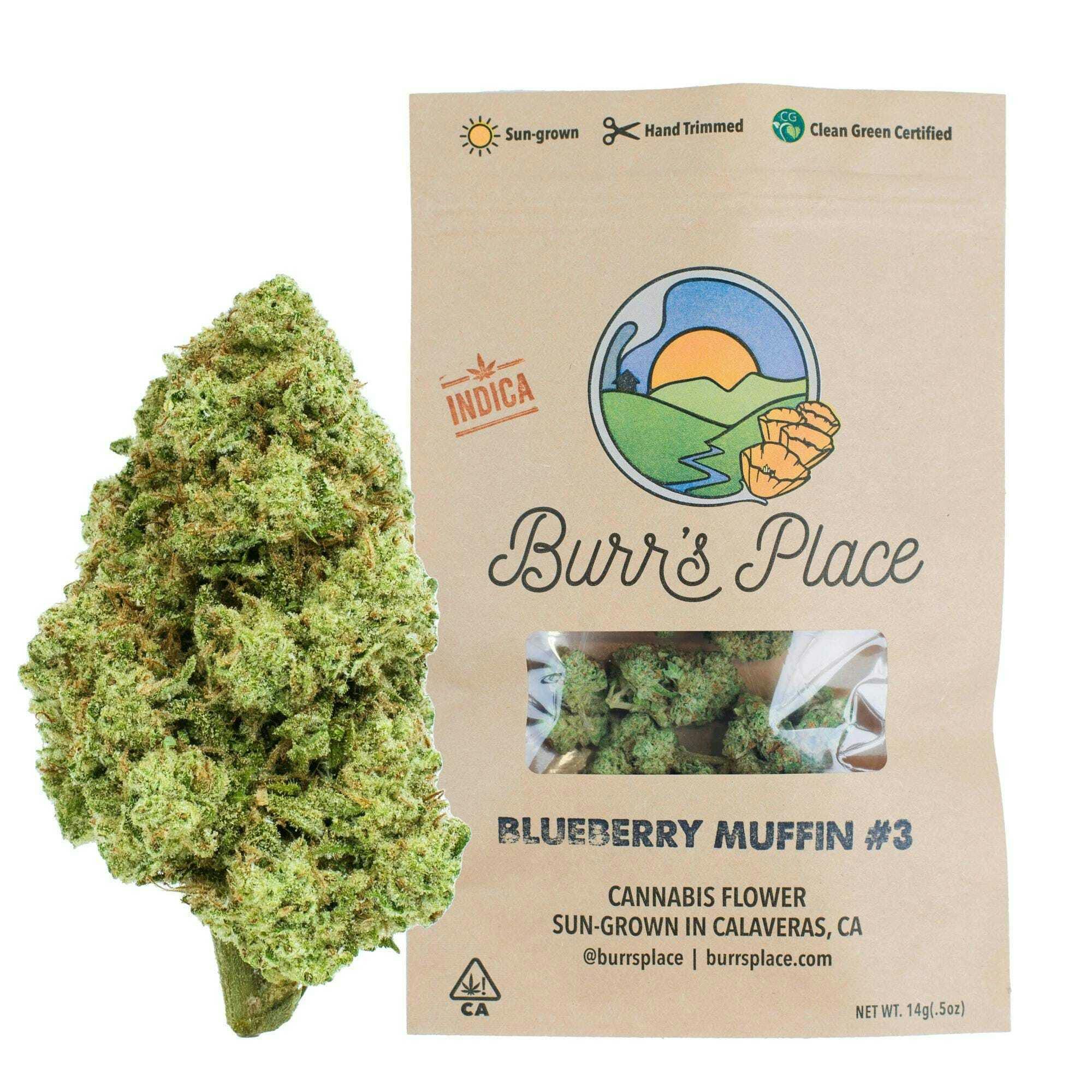 Burr's Place Organics Flower Smalls 14G - Kush Crasher