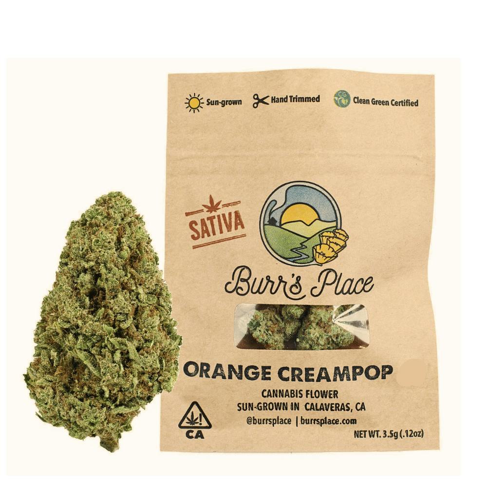 Burr's Place Organics Flower 3.5G - Ze Chem