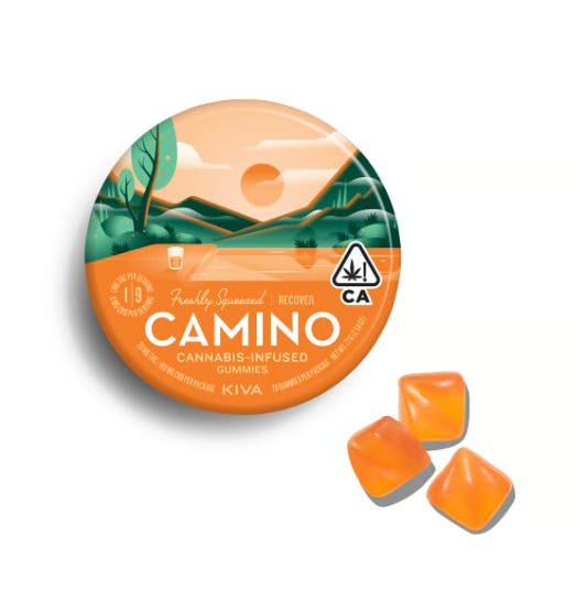 CAMINO: Freshly Squeezed - :2