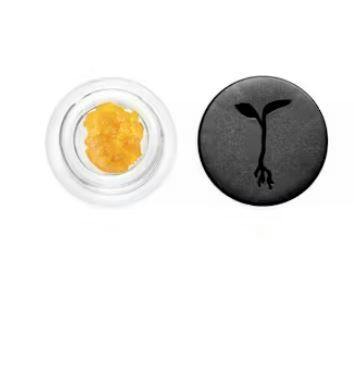 Raw Garden Live Resin 1g Jack's Rose