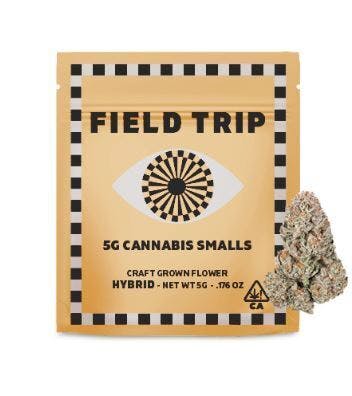Field Trip: Tropicana Cookies